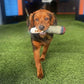 Interactive Dog Toy | Cigar Design Plush Squeaky | Chew Toy for Small Medium Dogs