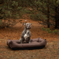 Waterproof Sleeper Dog Bed | Comfortable Support | Easy to Clean