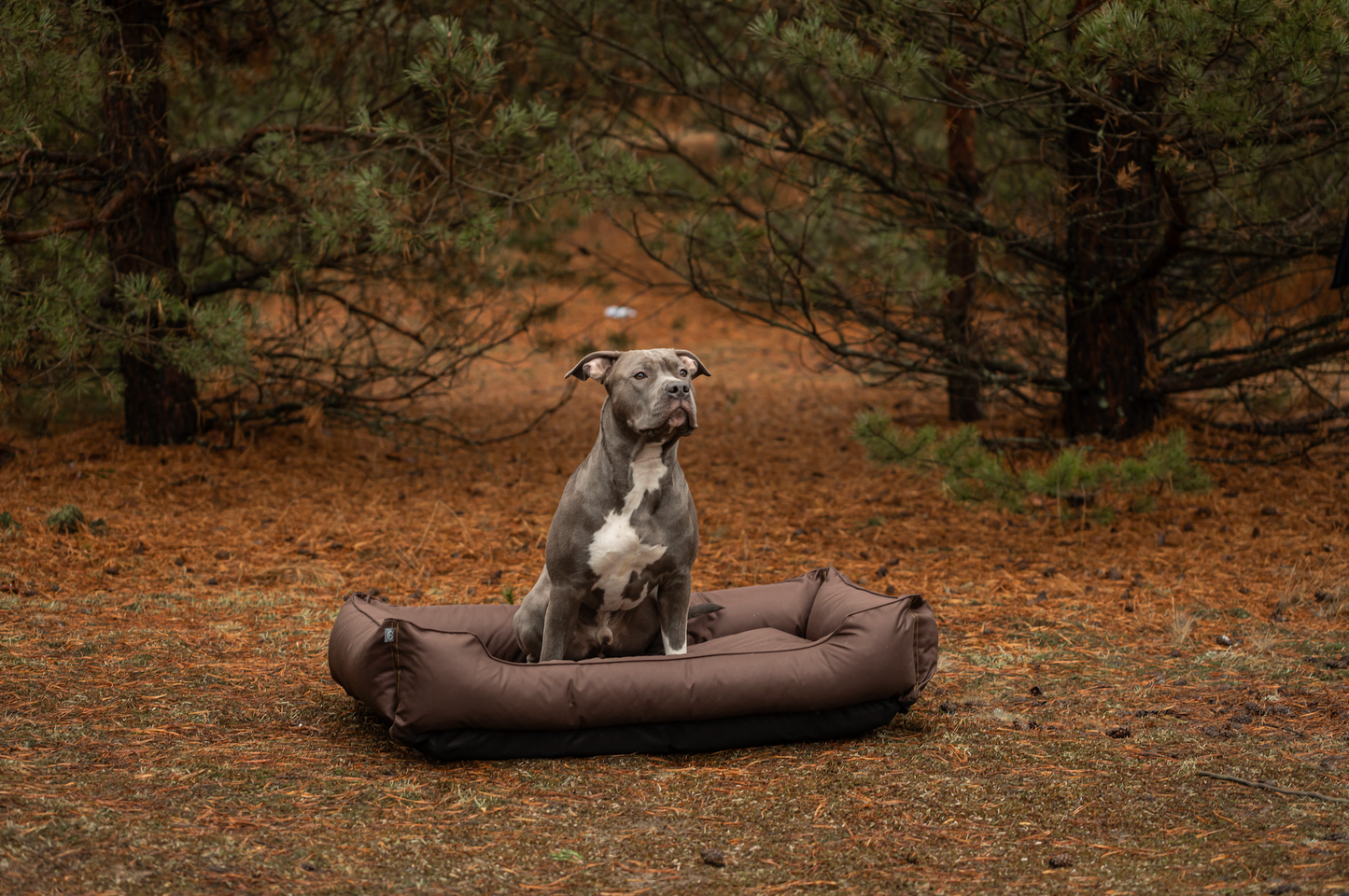 Waterproof Sleeper Dog Bed | Comfortable Support | Easy to Clean