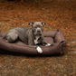 Waterproof Sleeper Dog Bed | Comfortable Support | Easy to Clean