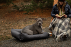 Waterproof Sleeper Dog Bed | Comfortable Support | Easy to Clean