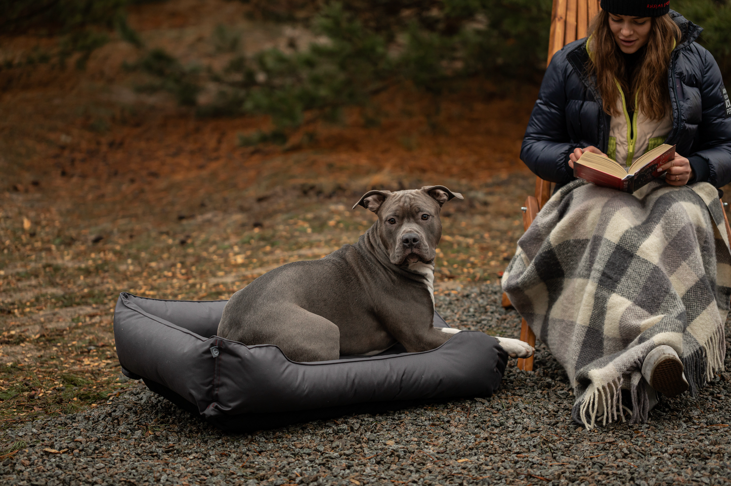 Waterproof Sleeper Dog Bed | Comfortable Support | Easy to Clean