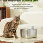 Auto Sensor Drinking Fountain