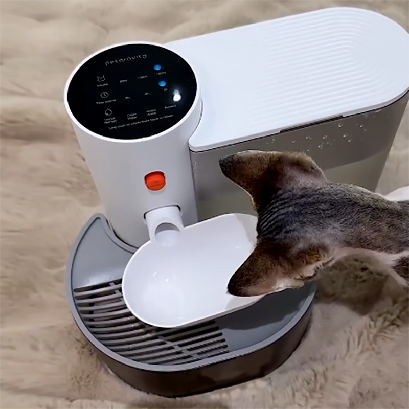 Pet Water Fountain | Smart Filter Free Design | Fresh Flowing Water