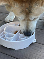 Slow Feeder Bowl | Promotes Healthy Eating | Reduces Bloating and Overeating
