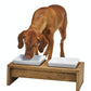 Double Bowl Pet Feeder | Stylish Wood Stand | Durable Bamboo Design