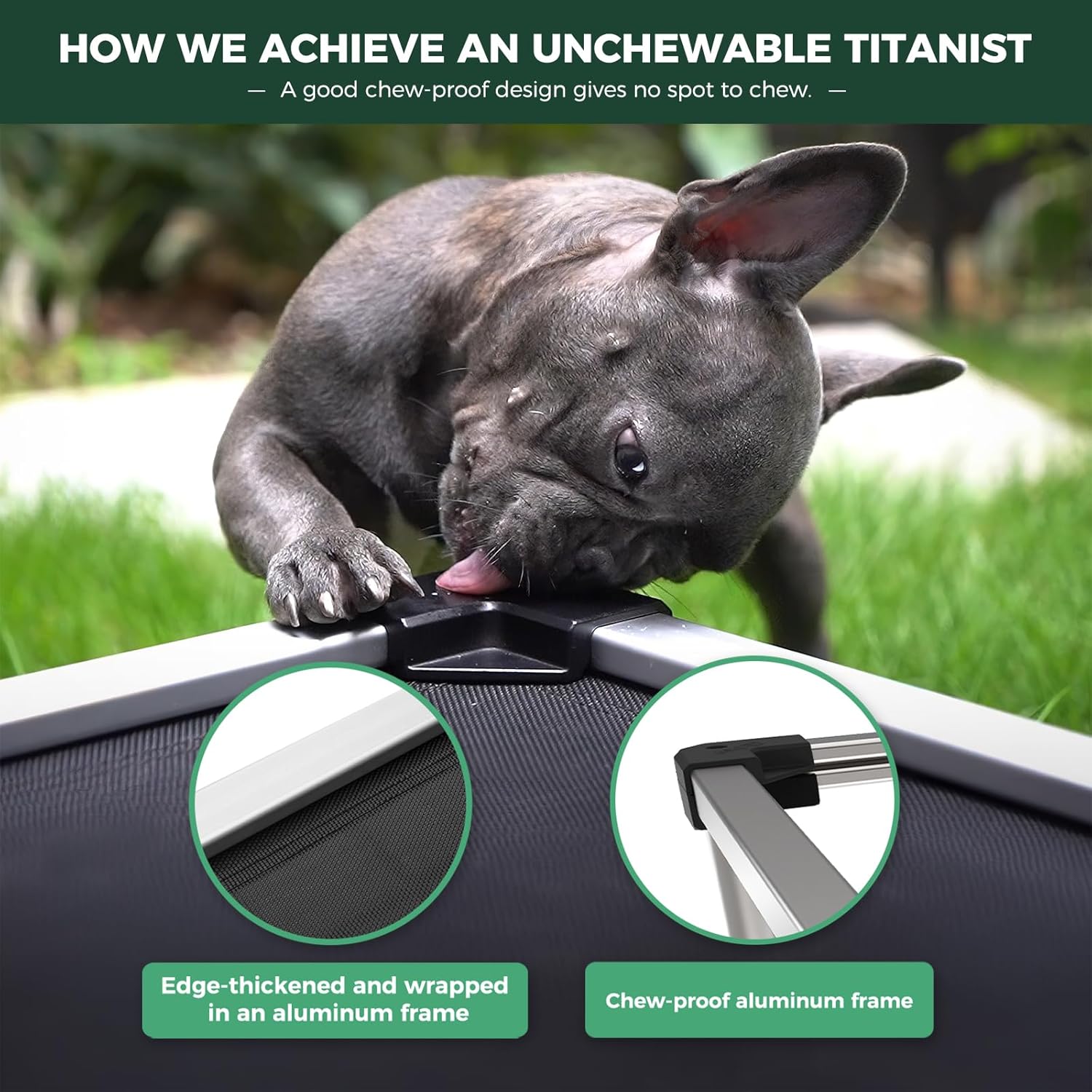 Cooling Elevated Dog Bed | Chew-Proof Design | Comfortable Support