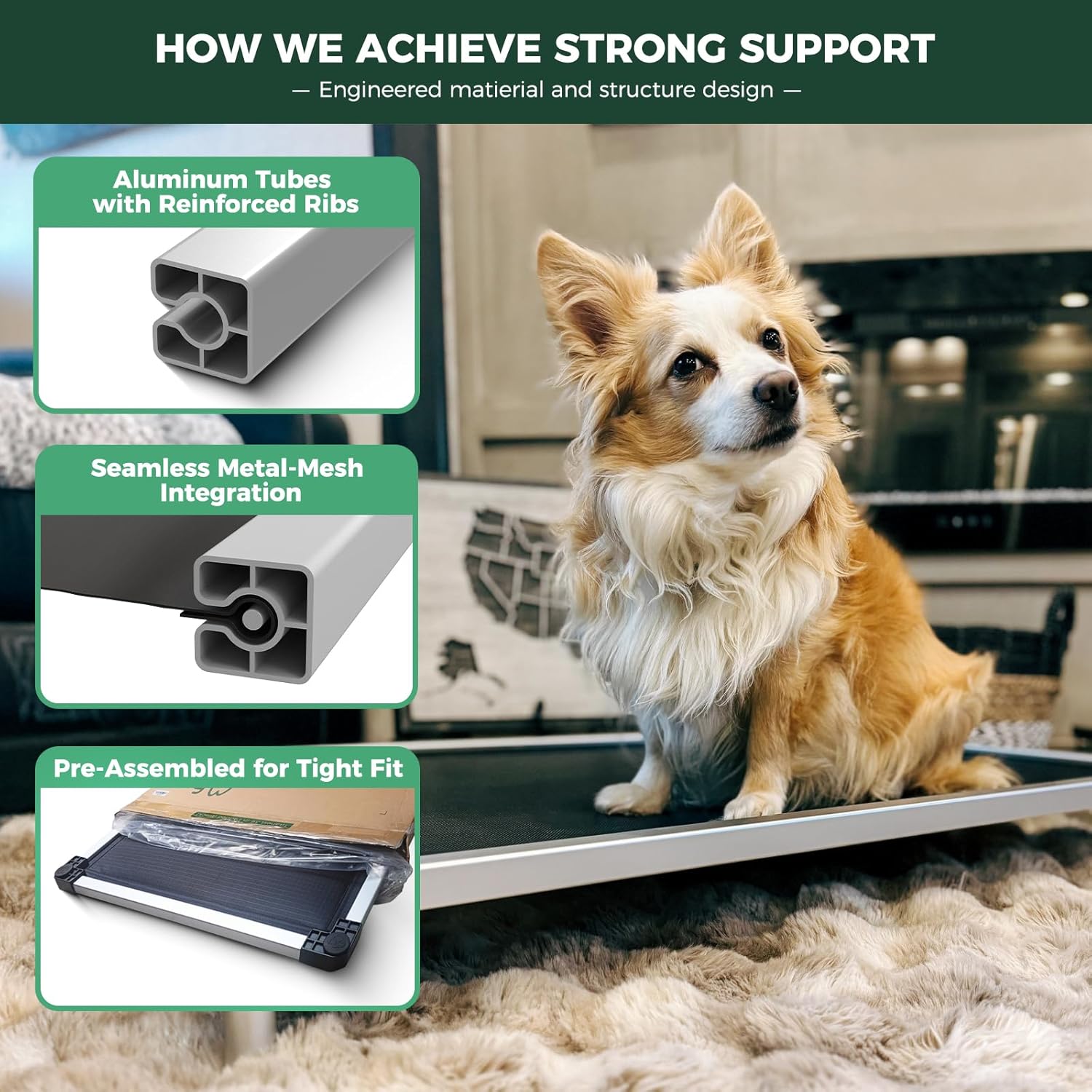Cooling Elevated Dog Bed | Chew-Proof Design | Comfortable Support