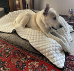 Dog Cooling Mat | Comfortable Relief