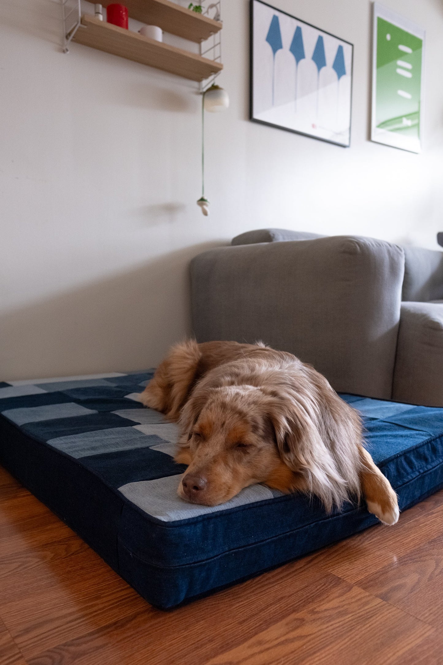 Reclaimed Denim Dog Bed | Orthopedic Foam | Washable Cover