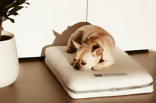 Dog Bed | Comfortable Orthopedic Design | Washable Cover | Durable Material