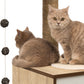High Cat Base Oak | Stylish Storage Solution | Modern Design