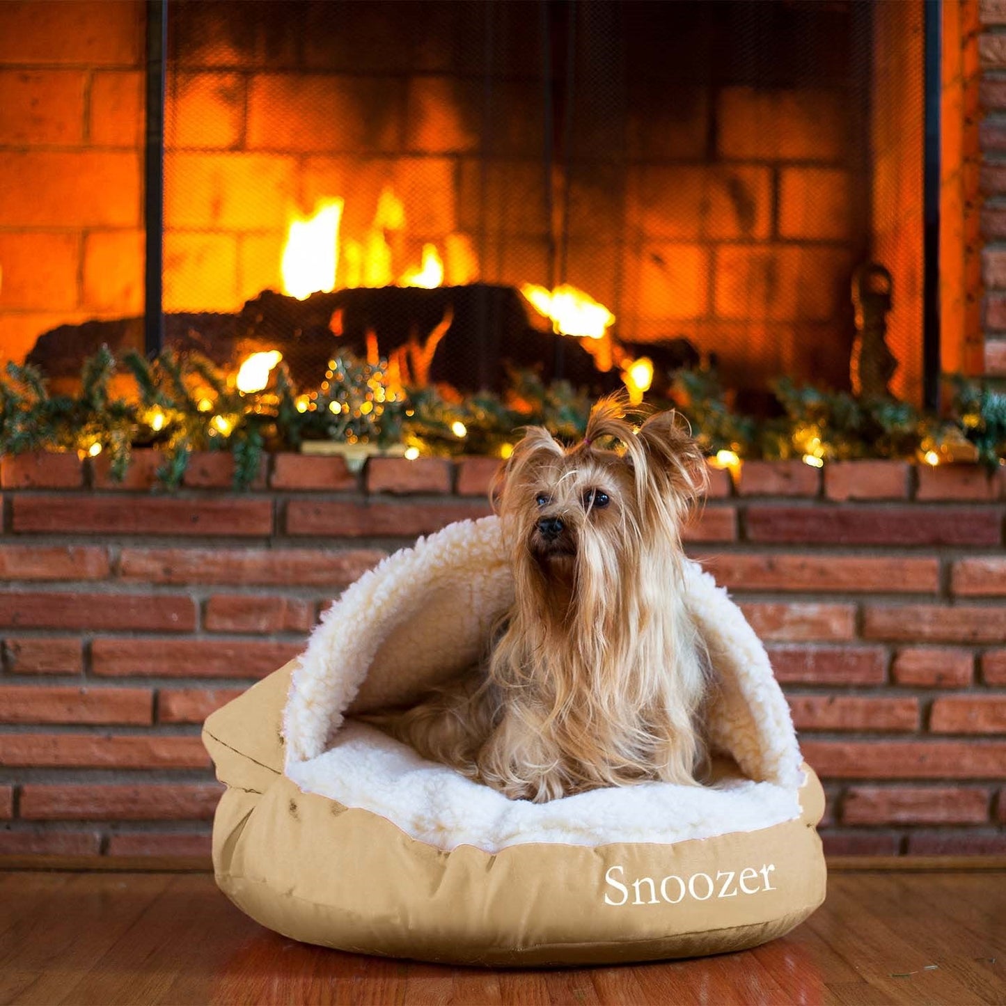 Cozy Dog Bed | Soft Plush Material | Machine Washable Design