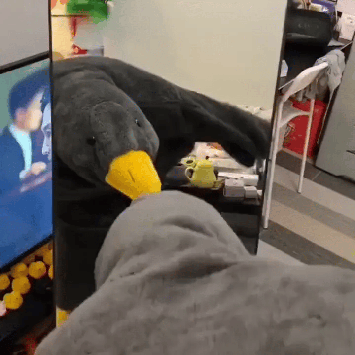 Wearable Silly Goose Blanket (One Size Fits All)