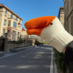 Warm Goose Gloves