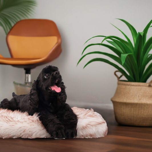 Faux Fur Orthopedic Dog Bed | Comfortable Supportive Bone Shape