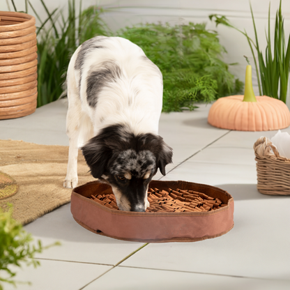 Stimulating Feeder Mat | Engaging Texture | Promotes Mental Stimulation