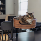 Cat Desk Bed | Space-saving design