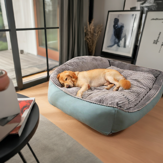 Thickened Warm Dog Bed | All Seasons Comfort | Cozy and Durable