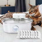 Stainless Steel Cat Water Fountain | Easy Clean