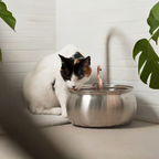 Cat Water Fountain | Promotes Hydration | Reduces Stress