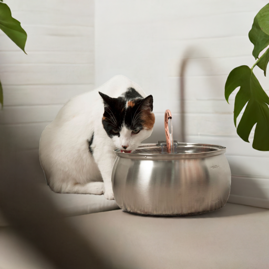 Cat Water Fountain | Promotes Hydration | Reduces Stress