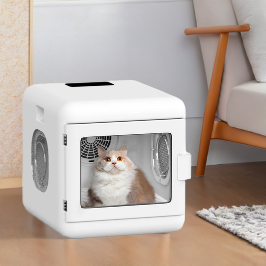 6L Pet Hair Dryer | Quiet Fast Drying | Adjustable Temperature