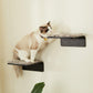 Cat Wall Steps Set of 2 | Wooden Climbing Shelves for Cats