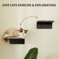 Cat Wall Steps Set of 2 | Wooden Climbing Shelves for Cats