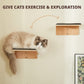 Cat Wall Steps Set of 2 | Wooden Climbing Shelves for Cats