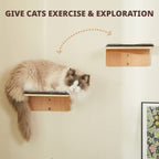 Cat Wall Steps Set of 2 | Wooden Climbing Shelves for Cats