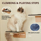 Wave Cat Shelves | 2 Cat Wall Steps | Modern Cream Cat Furniture