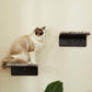 Cat Wall Steps Set of 2 | Wooden Climbing Shelves for Cats