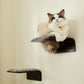 Cat Wall Steps Set of 2 | Wooden Climbing Shelves for Cats