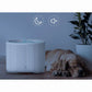 Pet Fountain | Fresh Filtered Water | Quiet Operation | Easy to Clean
