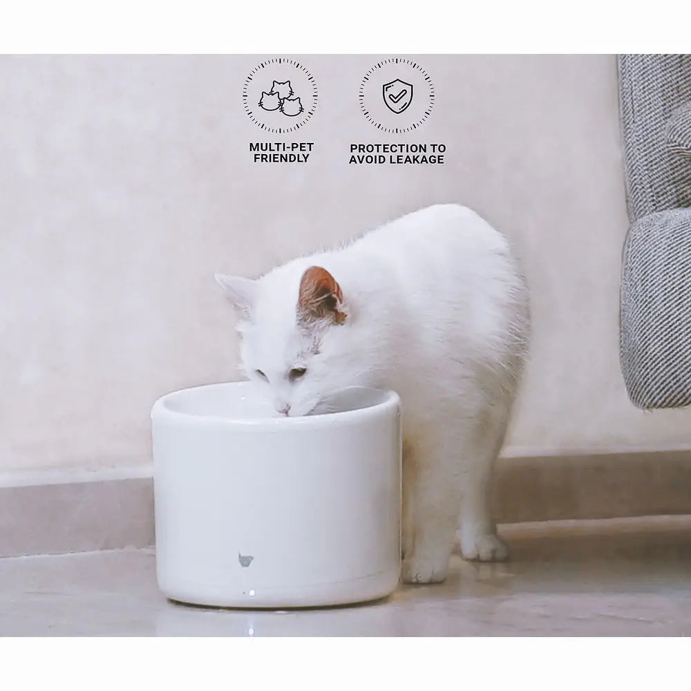Pet Fountain | Fresh Filtered Water | Quiet Operation | Easy to Clean