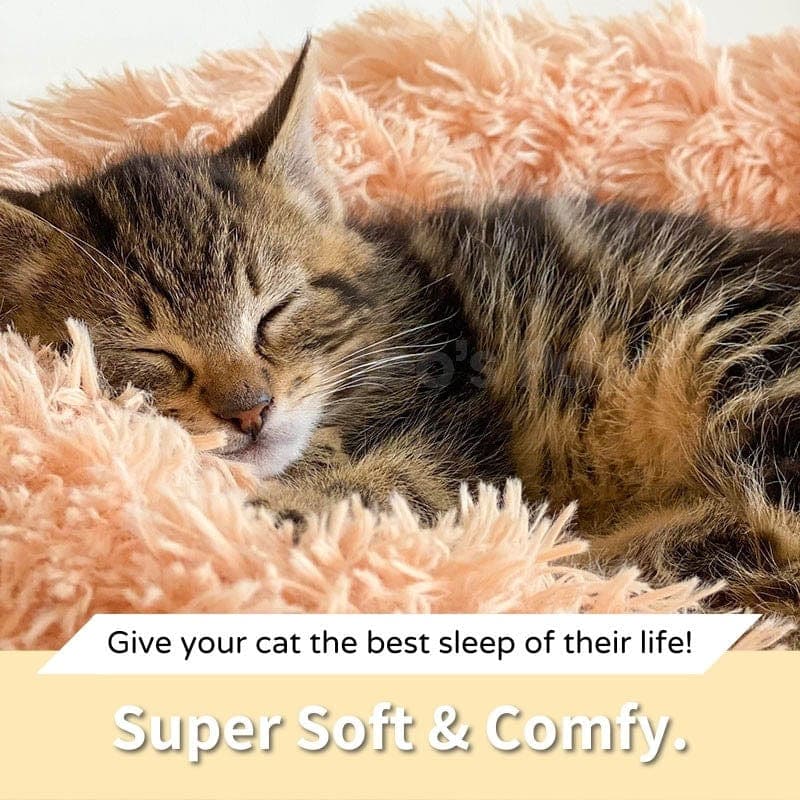 Fluffy Cat Bed | Cozy Warm Soft Design | Perfect for Cats and Kittens