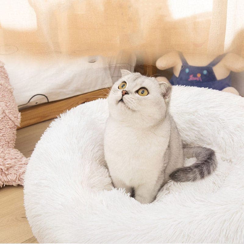 Fluffy Cat Bed | Cozy Warm Soft Design | Perfect for Cats and Kittens
