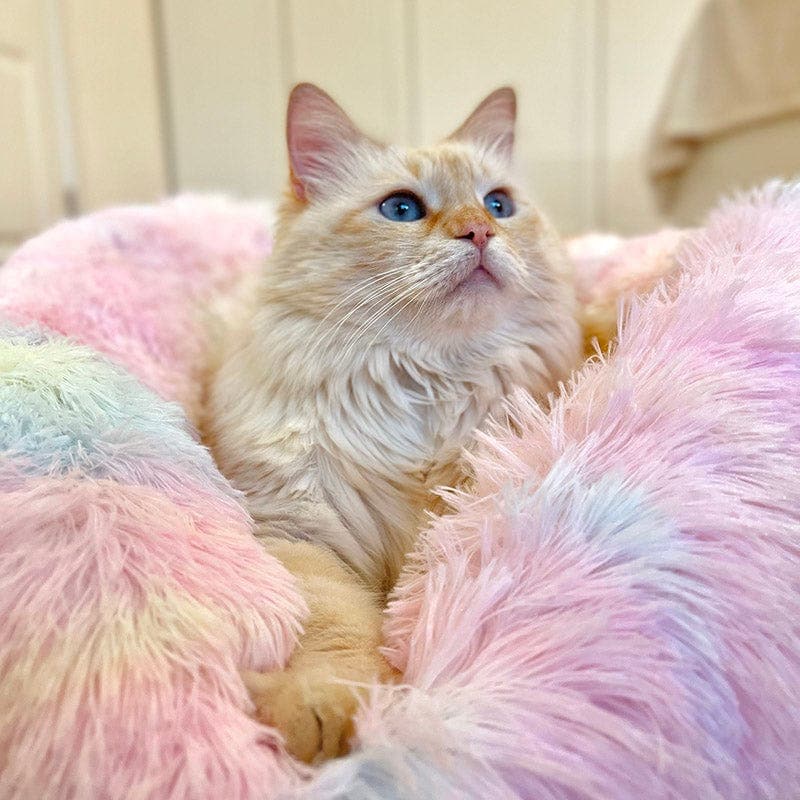 Fluffy Cat Bed | Cozy Warm Soft Design | Perfect for Cats and Kittens