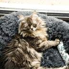 Fluffy Cat Bed | Cozy Warm Soft Design | Perfect for Cats and Kittens