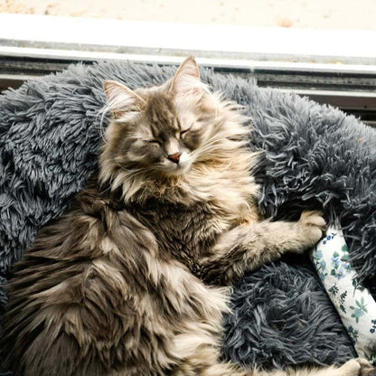 Fluffy Cat Bed | Cozy Warm Soft Design | Perfect for Cats and Kittens