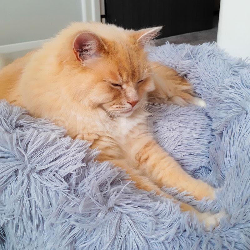 Fluffy Cat Bed | Cozy Warm Soft Design | Perfect for Cats and Kittens
