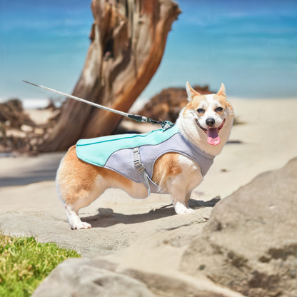 Pet Summer Cooling Vest | Reflective | Breathable