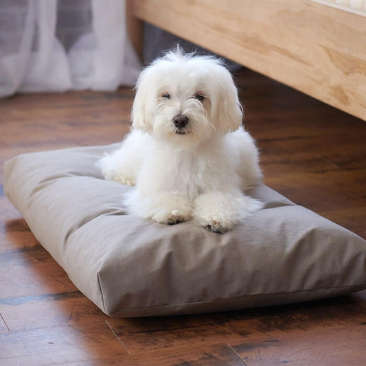 Organic Pet Bed | Washable Waterproof Cover | Eco-Friendly Comfort