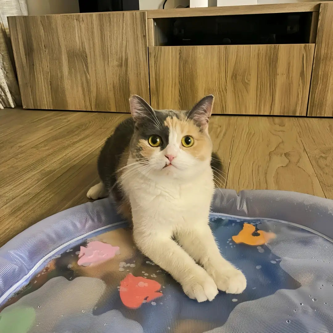 Cooling Pet Water Mat | Keeps Pets Cool and Comfortable | Durable