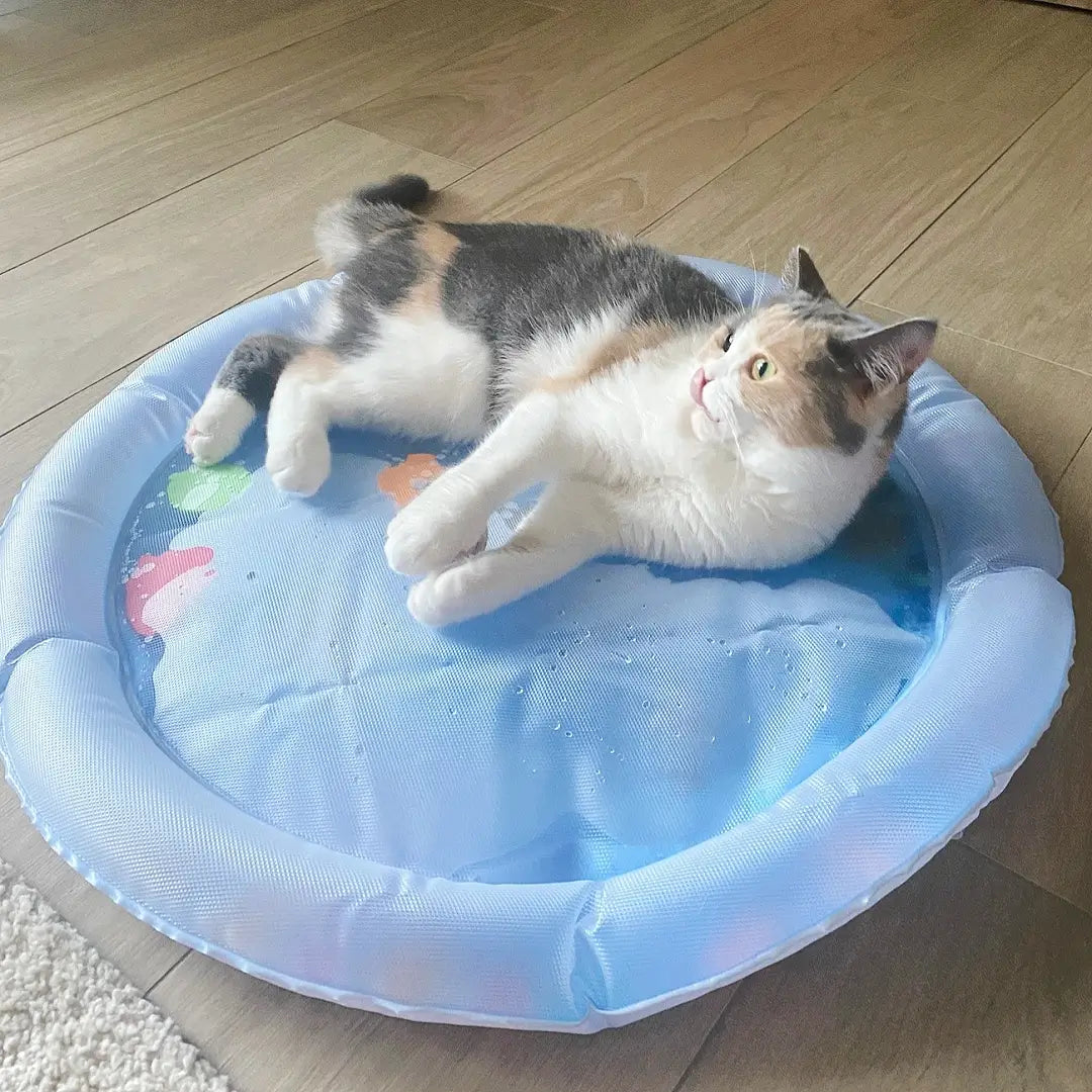 Cooling Pet Water Mat | Keeps Pets Cool and Comfortable | Durable