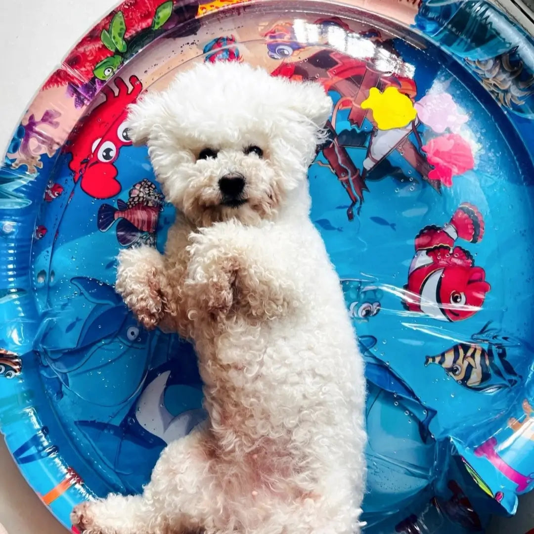 Cooling Pet Water Mat | Keeps Pets Cool and Comfortable | Durable