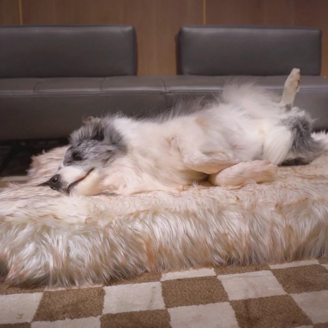 Faux Fur Orthopedic Dog Bed | Comfortable Supportive Bone Shape