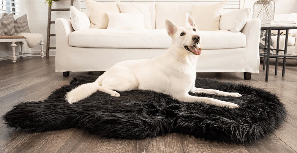 Faux Fur Orthopedic Dog Bed | Comfort for Large to XL Dogs