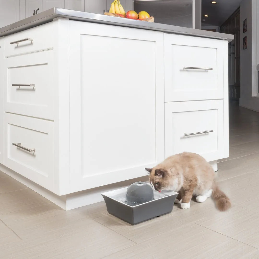 Pet Fountain Seascape | Fresh Filtered Water | Quiet Operation